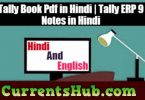 Tally Notes In Hindi PDF