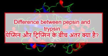 Difference between pepsin and trypsin