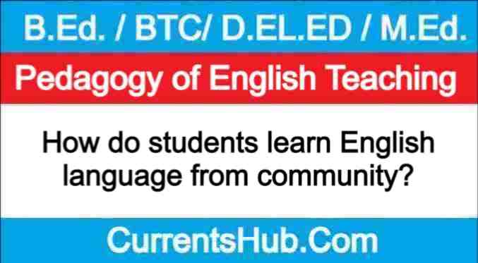 How do students learn English language from community?