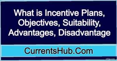 What is Incentive Plans