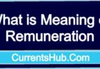 What is Meaning of Remuneration