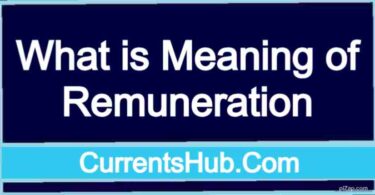 What is Meaning of Remuneration