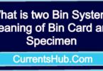 What is two Bin System