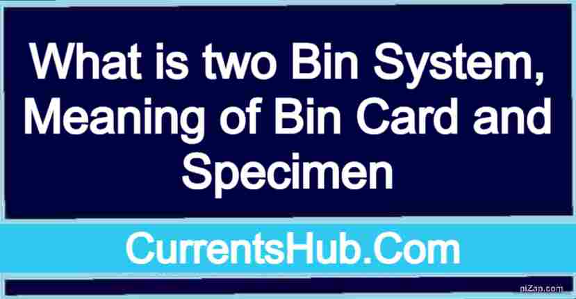 What is two Bin System