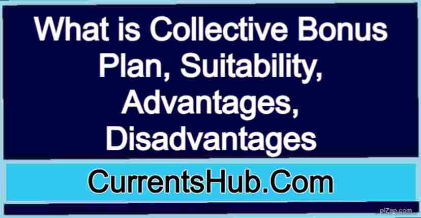 What is Collective Bonus Plan